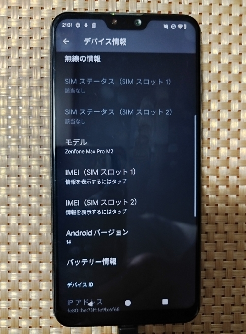 コウとオクサーナとアレン